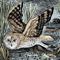 Angela Harding Marsh Owl Card