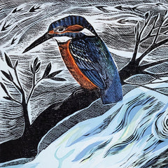 Angela Harding Summer Kingfisher Card