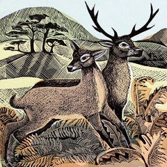Angela Harding Deer and Autumn Bracken Card