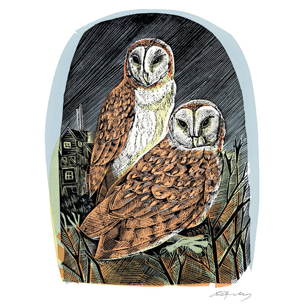 Angela Harding Barn Owls at Oxford Card