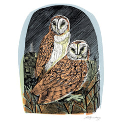 Angela Harding Barn Owls at Oxford Card