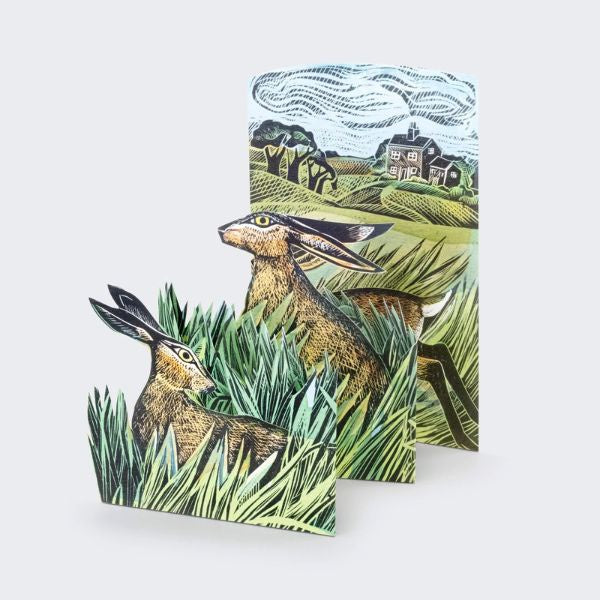 Angela Harding Hare and Open Fields 3D Card