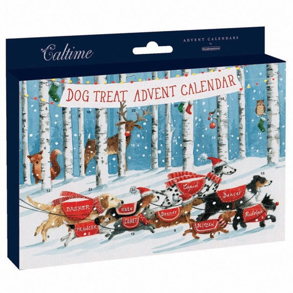 Pet Dachsund Through Advent Calendar