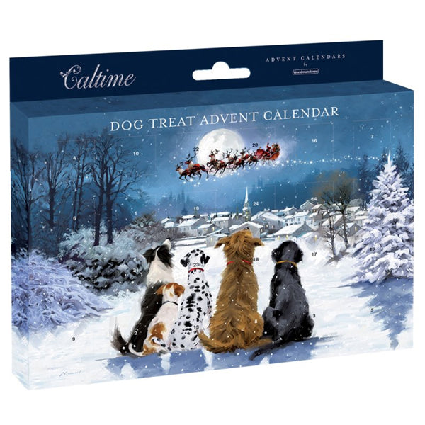 Pet Watching Santa Paws Advent Calendar