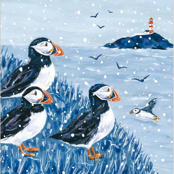 Winter Puffins Christmas Card Pack