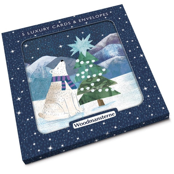 Christmas Stargazing Pack of Cards