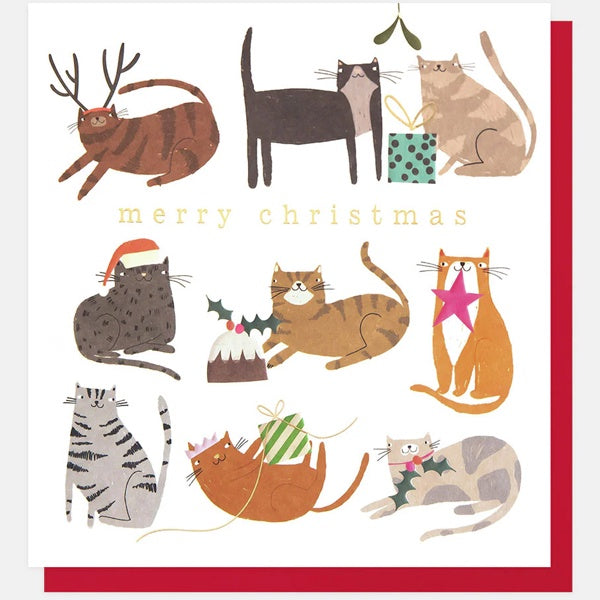 Merry Christmas Cats Festive Activities Christmas Card