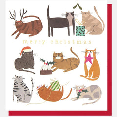 Merry Christmas Cats Festive Activities Christmas Card
