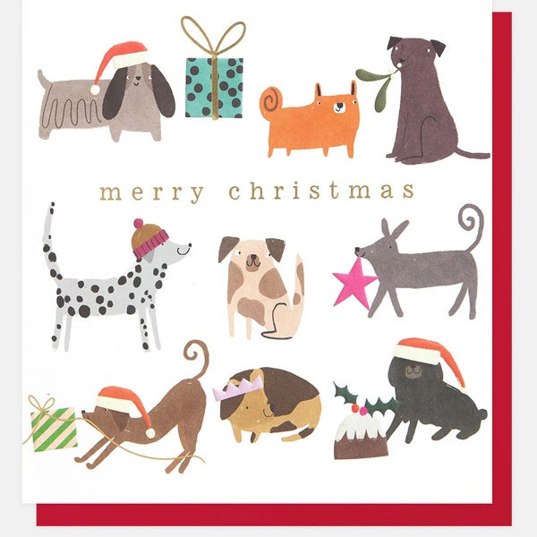 Merry Christmas Dogs Festive Activities Christmas Card