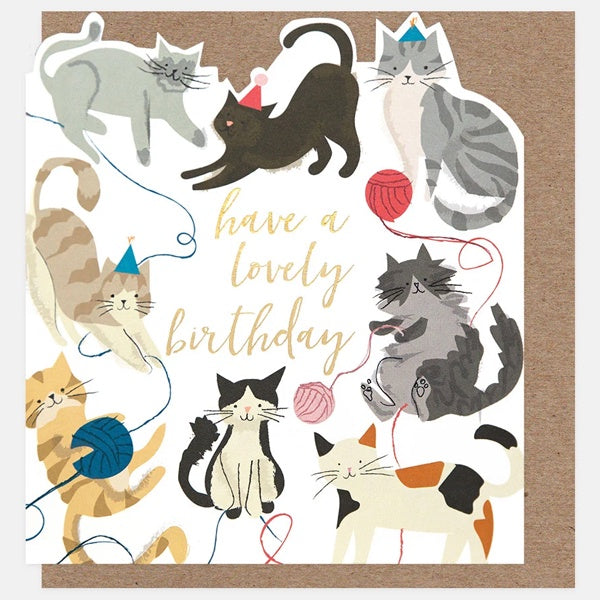 Cats With Wool Have A Lovely Birthday Card