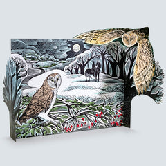 Owl in Winter Advent Calendar by Angela Harding