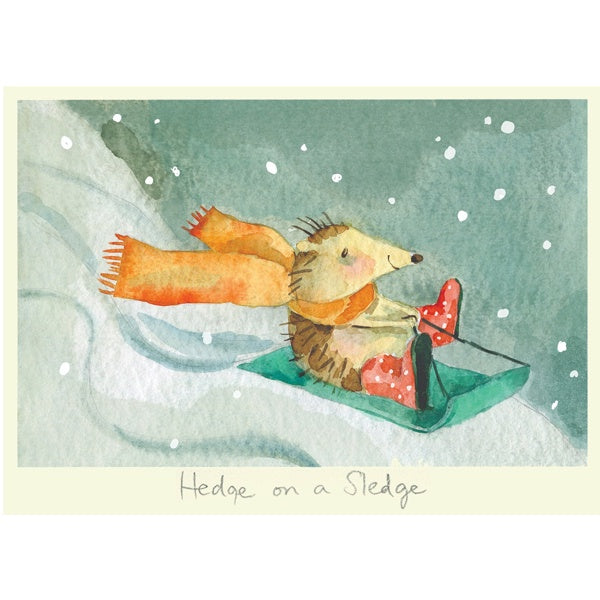 Hedge on a Sledge Christmas Card