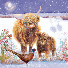 Highland Cattle Charity Card Pack