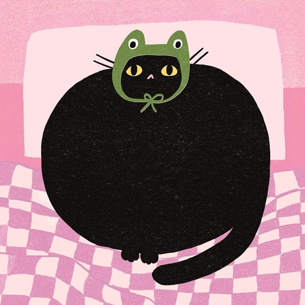 Sunpatch Cats Frog Hat Cat Card