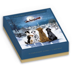 Christmas Magic Box of Cards