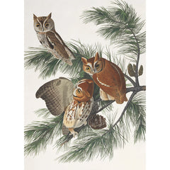 John James Audubon Christmas Wallet