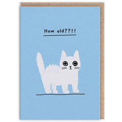 How Old Kitten Birthday Mini Card