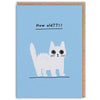 How Old Kitten Birthday Mini Card