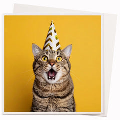 Cat in The Hat Card