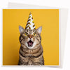 Cat in The Hat Card
