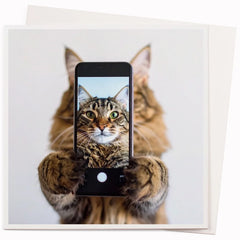 Cat Selfie Card