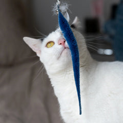 Kitty Teaser Wand