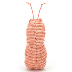 Sheldon Shrimp