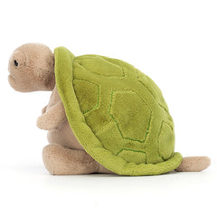 Timmy Turtle