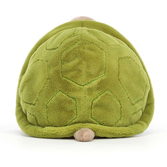 Timmy Turtle