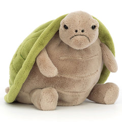 Timmy Turtle