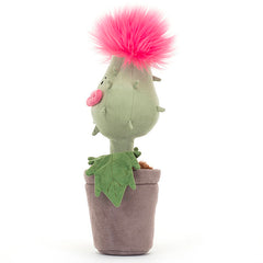 Carniflore Priscilla