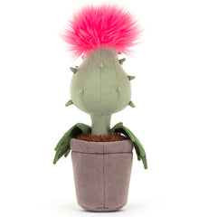 Carniflore Priscilla
