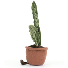 Amuseable Monstera Plant