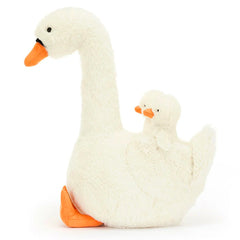 Featherful Swan