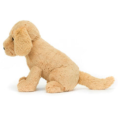 Tilly Golden Retriever