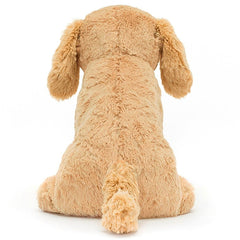 Tilly Golden Retriever