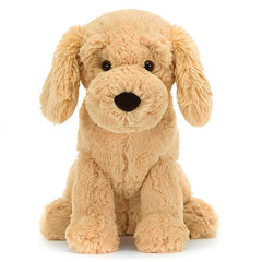 Tilly Golden Retriever