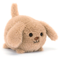 Caboodle Puppy