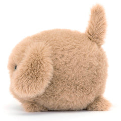 Caboodle Puppy