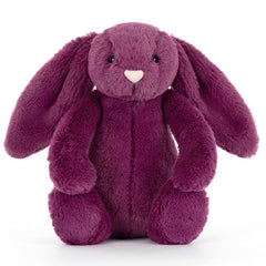 Bashful Allium Bunny