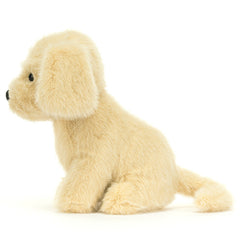 Golden Puppy