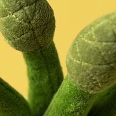 Amuseables Asparagus