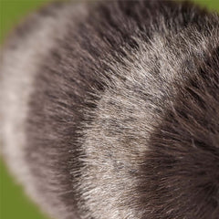 Trixiwoo Raccoon