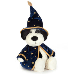 Rufferty Puppy Wizard