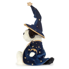 Rufferty Puppy Wizard