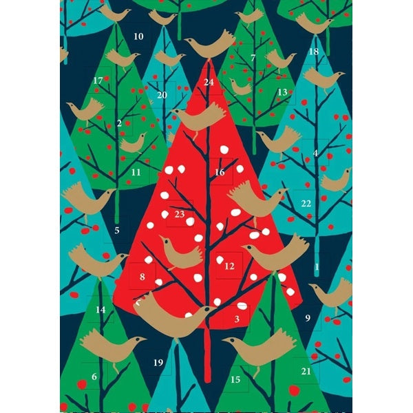 Brilliant Birds Advent Card