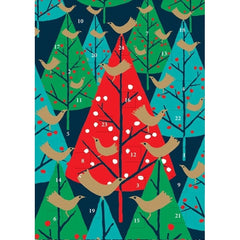 Brilliant Birds Advent Card