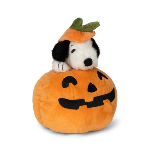 Halloween Snoopy in Pumpkin
