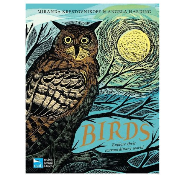 Birds Explore Their Extraordinary World