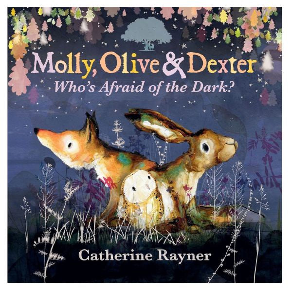 Molly Olive and Dexter  Whos Afraid Of The Dark Hardback
